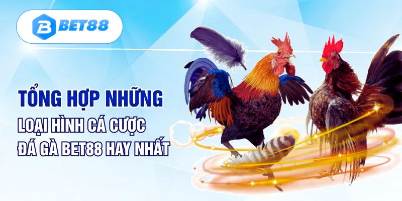 Đá gà Bet88 phù hợp với tất cả người chơi ở mọi lứa tuổi