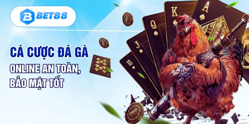 3 ưu điểm có 1 không 2 của sảnh đá gà tại Bet88